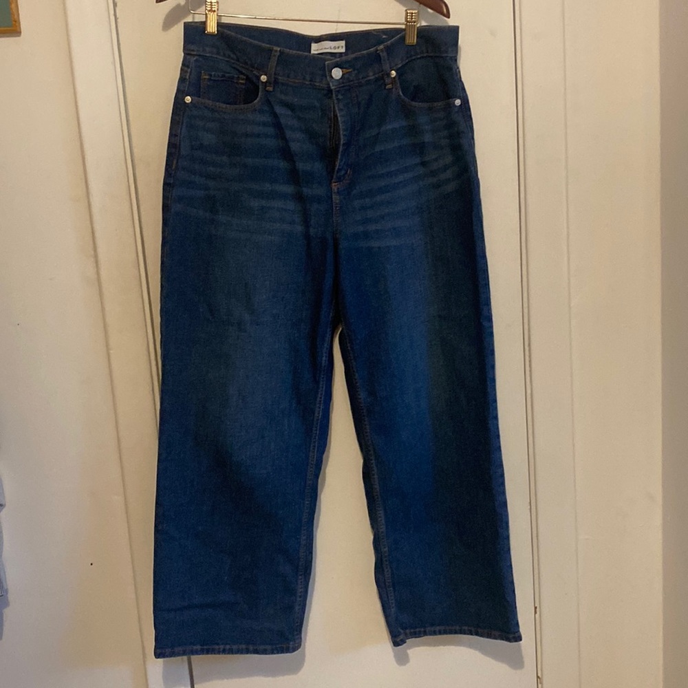 Ann Taylor Loft the wide leg size 10